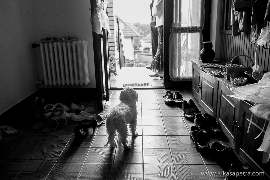 svatebni-fotografie-2013-010