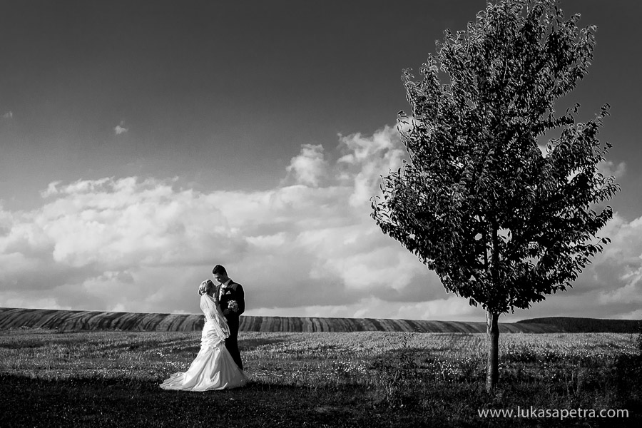 svatebni-fotografie-2013-070