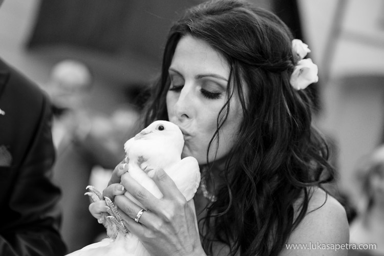 svatebni-fotografie-35
