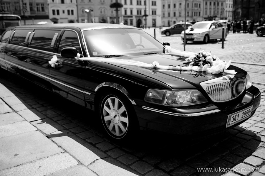 svatebni-fotografie-portrety-2013-22
