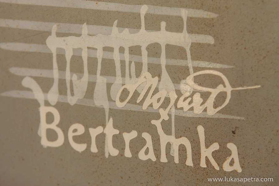 svatební-fotografie-detaily-041