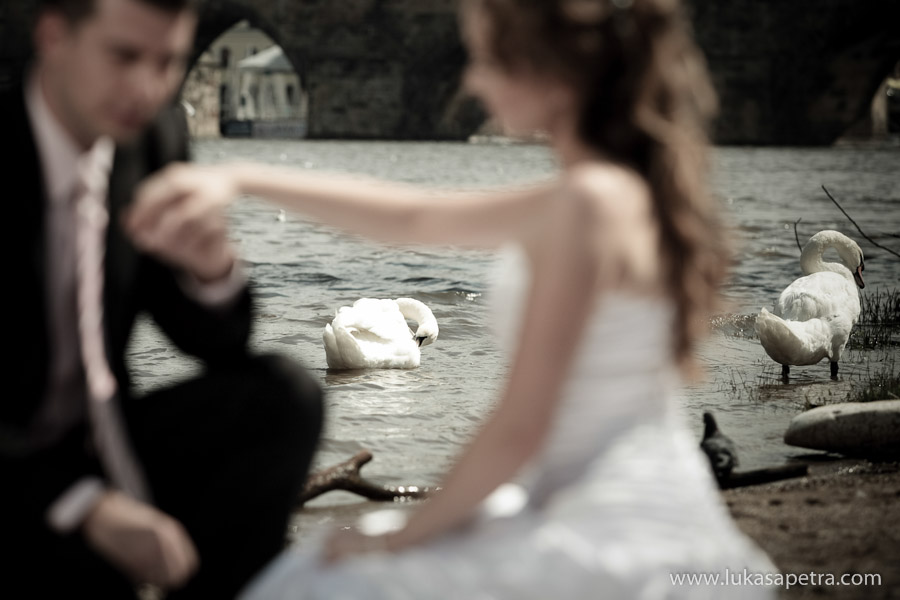 svatební-fotografie-momenty-032